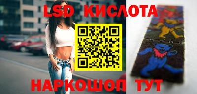 spice Боровичи