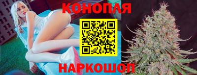 Альфа ПВП Брянск